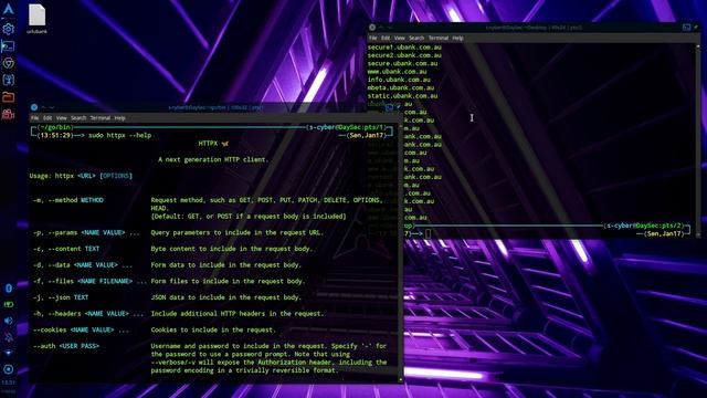HTTPX - Bug Bounty tool - Mencari Informasi melalui protokol http | #indonesia #nft #bugbounty смотреть онлайн