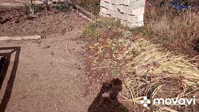 Перенесли дрова, погода супер +27..., 23 октября. смотреть онлайн