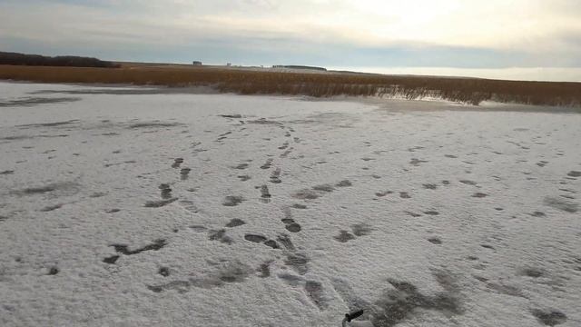 Ловля Ротана на жерлицы и блесну. Первый лед 2021 Красивые кадры по водой смотреть онлайн