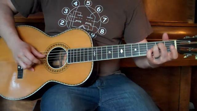 Brazilian Rosewood Washburn Parlor Guitar