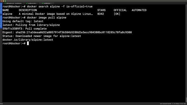 Working with Search and Docker Images and Image Tags смотреть онлайн