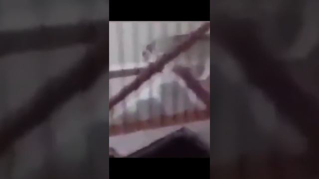 Приколы смотреть онлайн