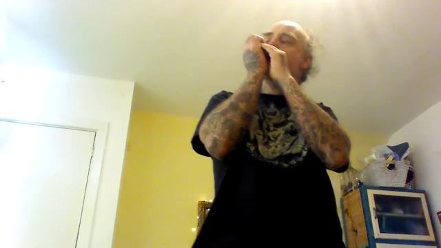 Irish harmonica, paddy Clancy's jig ,go to the devil and shake yourself,keyD смотреть онлайн