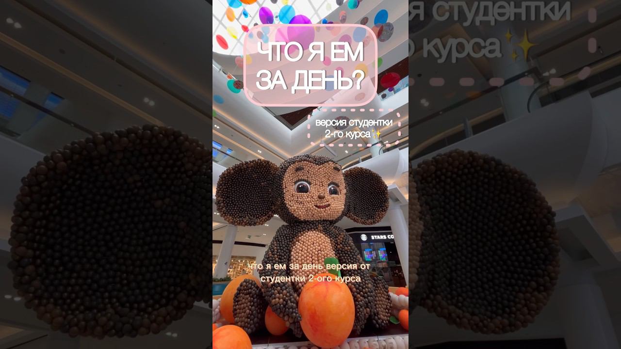 Что я ем за день?версия от студента✨ #влог #чтояем #чтояемзадень #мойденьпочасам #мойдень #будни смотреть онлайн