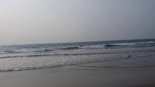 VLOG: Вова кормит всех собак / А теперь красоты ГОА смотреть онлайн