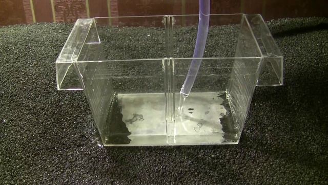 Аквариум. 02. Заливка воды