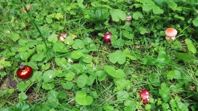 ?Собираю грибы  /   Елочные игрушки СССР