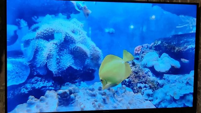 Телевизор Hisense 43A7KQ. ОТЗЫВ СПУСТЯ ДВА МЕСЯЦА ЭКСПЛУАТАЦИИ. ОБЗОР НОВИНКИ. ПЛЮСЫ И МИНУСЫ.