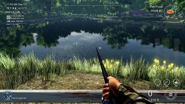 Fishing Planet 2023 - (UPDATED) How to catch Young Channel Catfish on Lonestar Lake смотреть онлайн