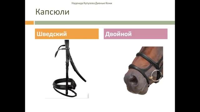 Снаряжение для лошади / виды амуниции для лошади / Дивные Кони смотреть онлайн