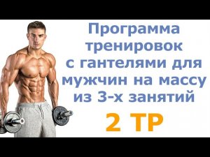 Программа тренировок с гантелями для мужчин на массу из 3-х занятий (2 тр)