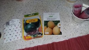 Подвой для Арбуза и Дыни  ? Ура! У нас будут свои арбузы! ?