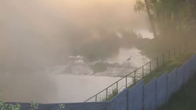 Мгновения жизни природы. Аист у воды смотреть онлайн