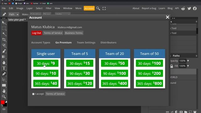 How to Go Premium in Photopea смотреть онлайн