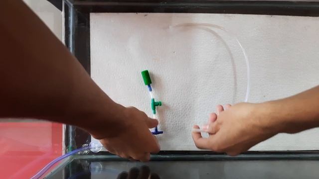 How to make good aeration system in aquarium | Air pump setup | True Pets Aqua смотреть онлайн