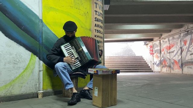 Georgian Accordion Player