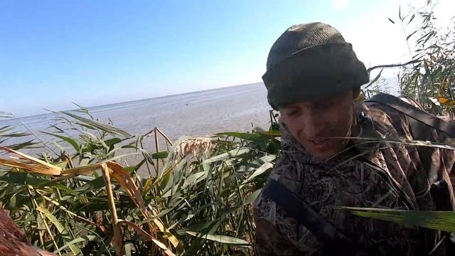 Охота на уток осень 2020