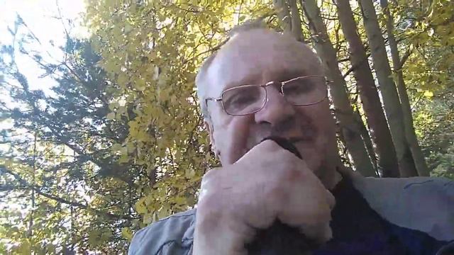 В лесу Витя Попов Первоуральск листья жёлтые смотреть онлайн