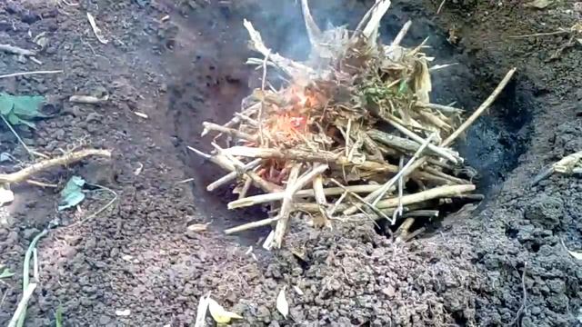 Разведение костра в лесу смотреть онлайн