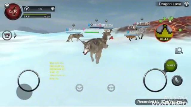 Wild Animals Online//дикие животные онлайн.