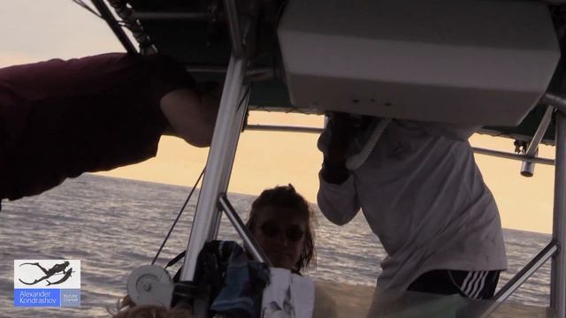 Панамские Будни #6. Двухчасовая Гребля Веслами. смотреть онлайн