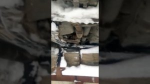 В мороз стало выдавливать масло из под фильтра.