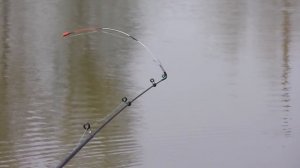 ЛОВЛЯ КАРПА КАРАСЯ НА БОКОВОЙ КИВОК И ПОПЛАВОК