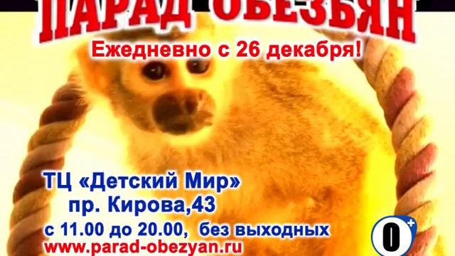 Парад обезьян в Саратове смотреть онлайн