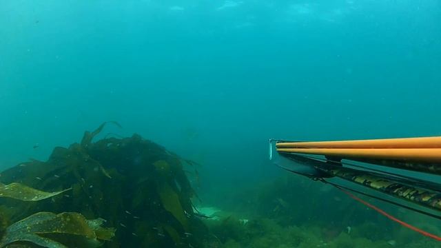 Chasse sous marine dans le Finistère, juin 2015. Epsealon, Viking Kayak смотреть онлайн