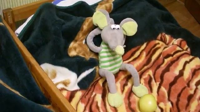 Договор   Contract