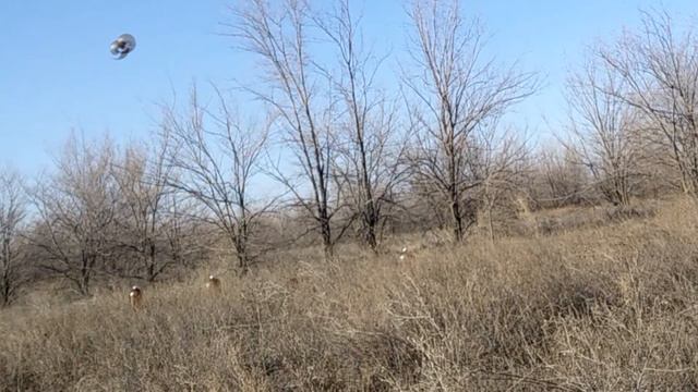 Взорви это. Развлечения на улице с папой. Видео адреналин смотреть онлайн