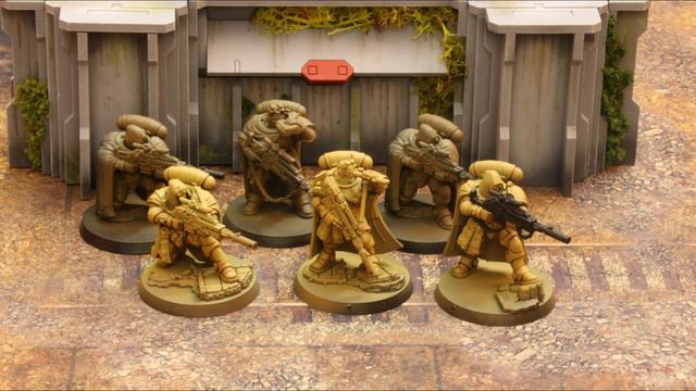 PRIMARIS PROJECT - SOLAR GUARDIANS STATUS UPDATE! смотреть онлайн