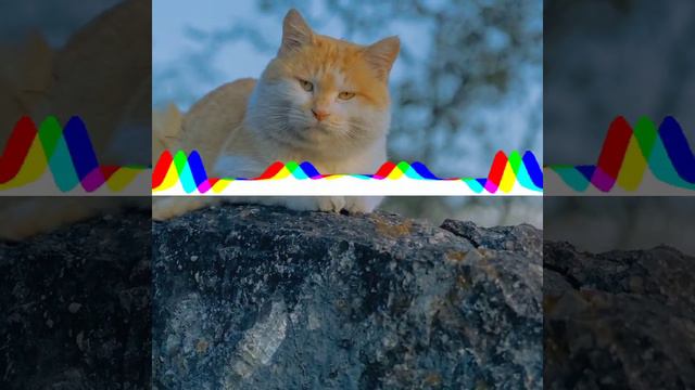 слушать песню Море волнуется раз... море волнуется два... море волнуется три....