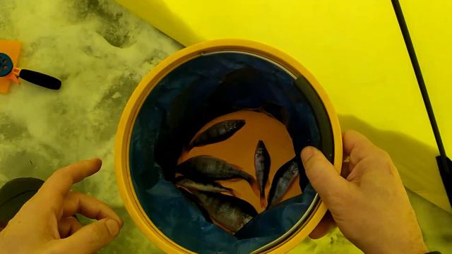 Нашёл ключик к местной рыбе к концу рыбалки. смотреть онлайн