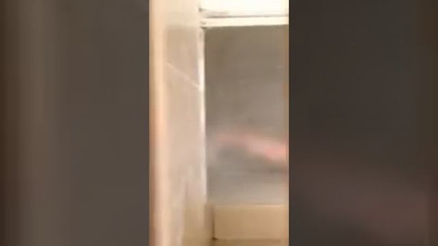 Сумасшедший бардак пока родителей нет дома смотреть онлайн