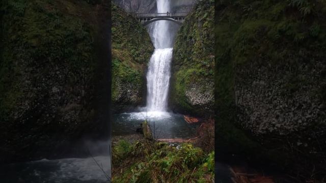 Amazon Rainforest Wonderfull Waterfall | In 16K 120 FPS | 8k Videos | In 8K Animal TV смотреть онлайн