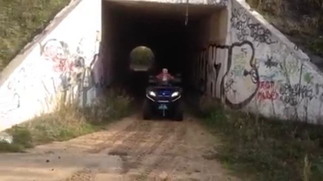 Царевка сосновый лес смотреть онлайн