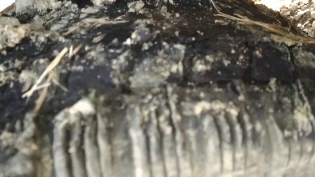 застрял налипли камни на шину стер новую резину на ВАЗ 2106 жалко сильно теперь смотреть онлайн