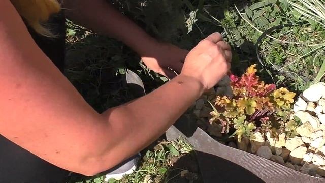 З способа сделать бордюр между газоном и клумбой просто. смотреть онлайн