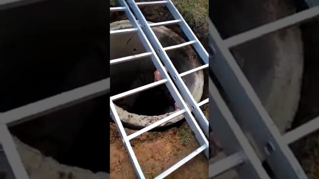 новинка РАМШТАЙН смотреть онлайн