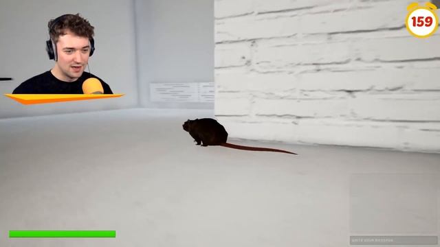 CATCH The RAT OR LOSE The GAME! (Slap The Fly) смотреть онлайн
