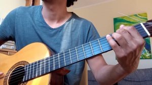 På Vikingtog - Teufelslied - Guitar Cover
