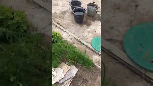 Посадка саженцев смотреть онлайн