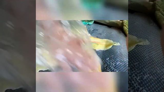 Мастер класс Тюльпан из шерсти смотреть онлайн