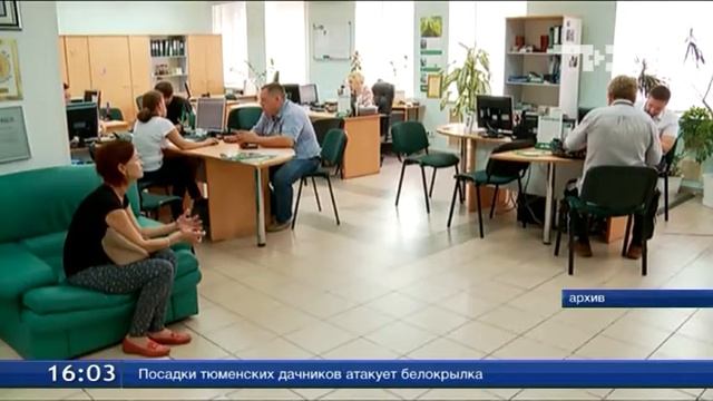 Спрос на страхование загородных домов и дач вырос на 30 % смотреть онлайн