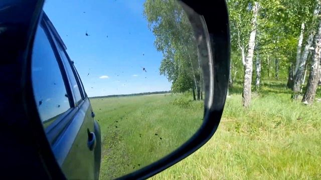 Оводы, пауты, слепни... смотреть онлайн