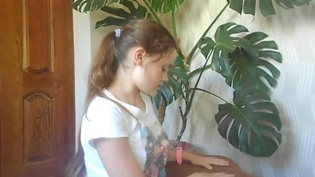 Как стать на мостик (с положения стоя ) смотреть онлайн
