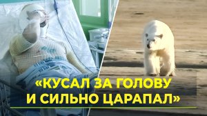 Олег Лаптандер: О нападении белого медведя