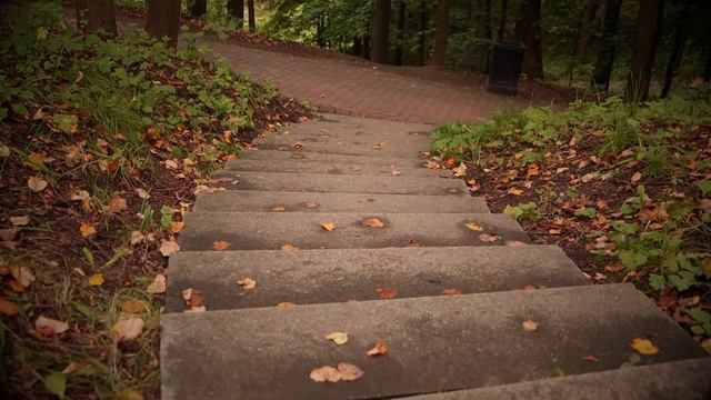 Canon EOS 90D / Samyang 16mm 2.0 / Программный стабилизатор / 4K