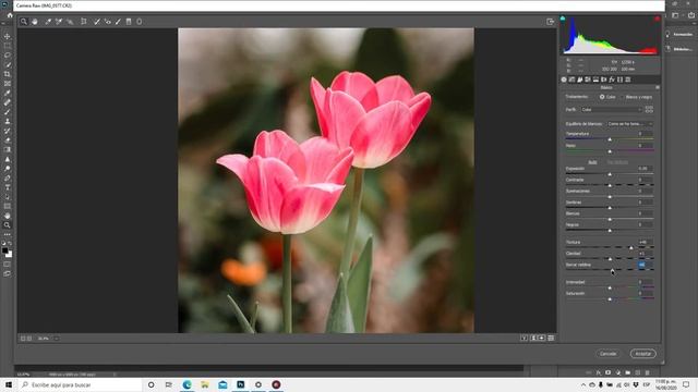 COMO ENFOCAR UNA FOTO CON PHOTOSHOP смотреть онлайн